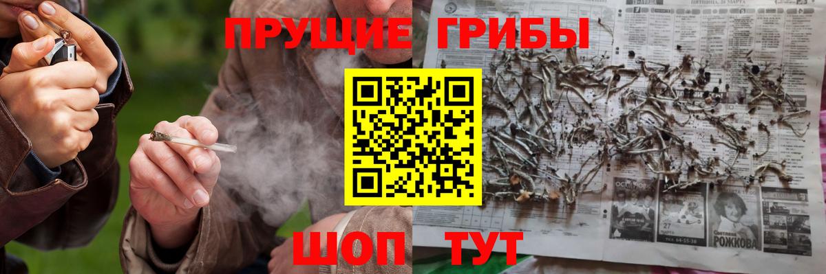Таганрог  Галлюциногенные грибы Psilocybine cubensis  Вход с VPN  Псилоцибиновые грибы прущие грибы 