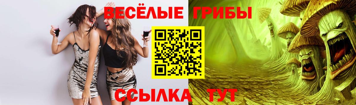 Псилоцибиновые грибы прущие грибы Таганрог